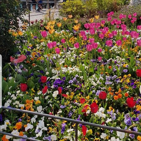 Appartamento Rosy Peschiera del Garda Exteriér fotografie
