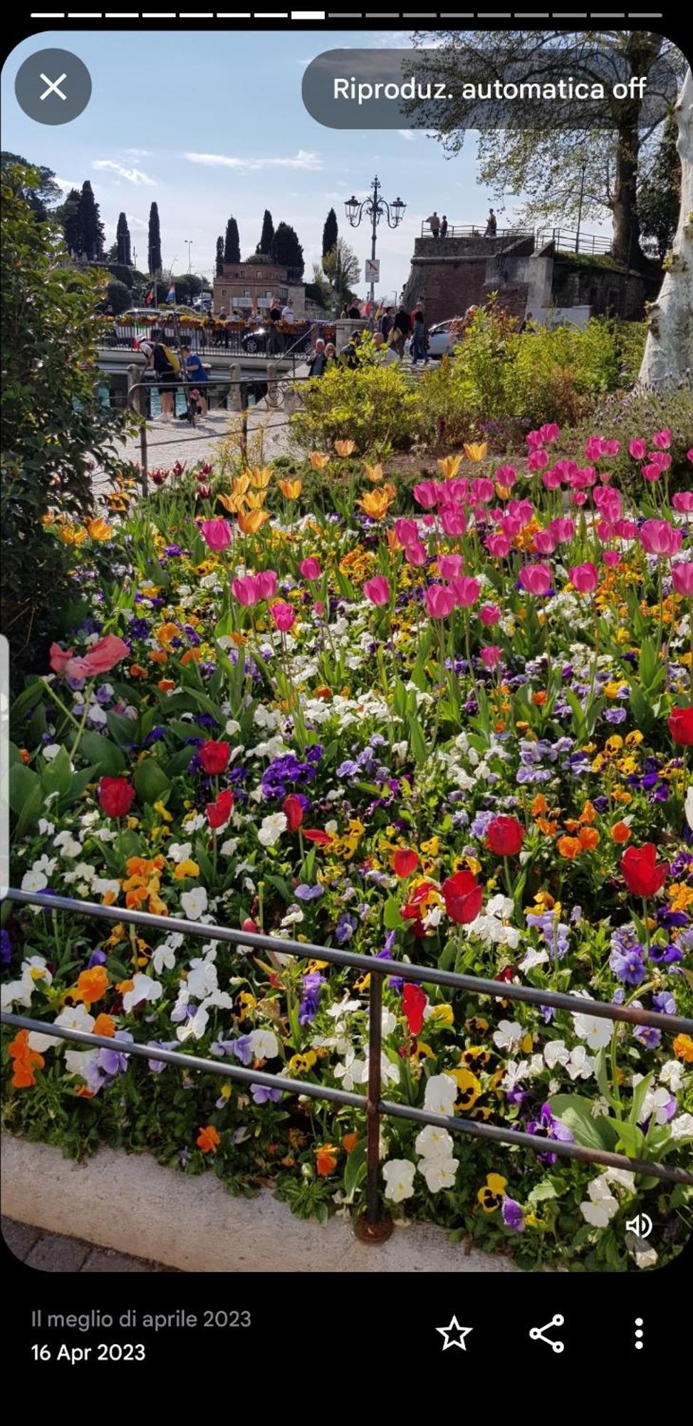 Appartamento Rosy Peschiera del Garda Exteriér fotografie